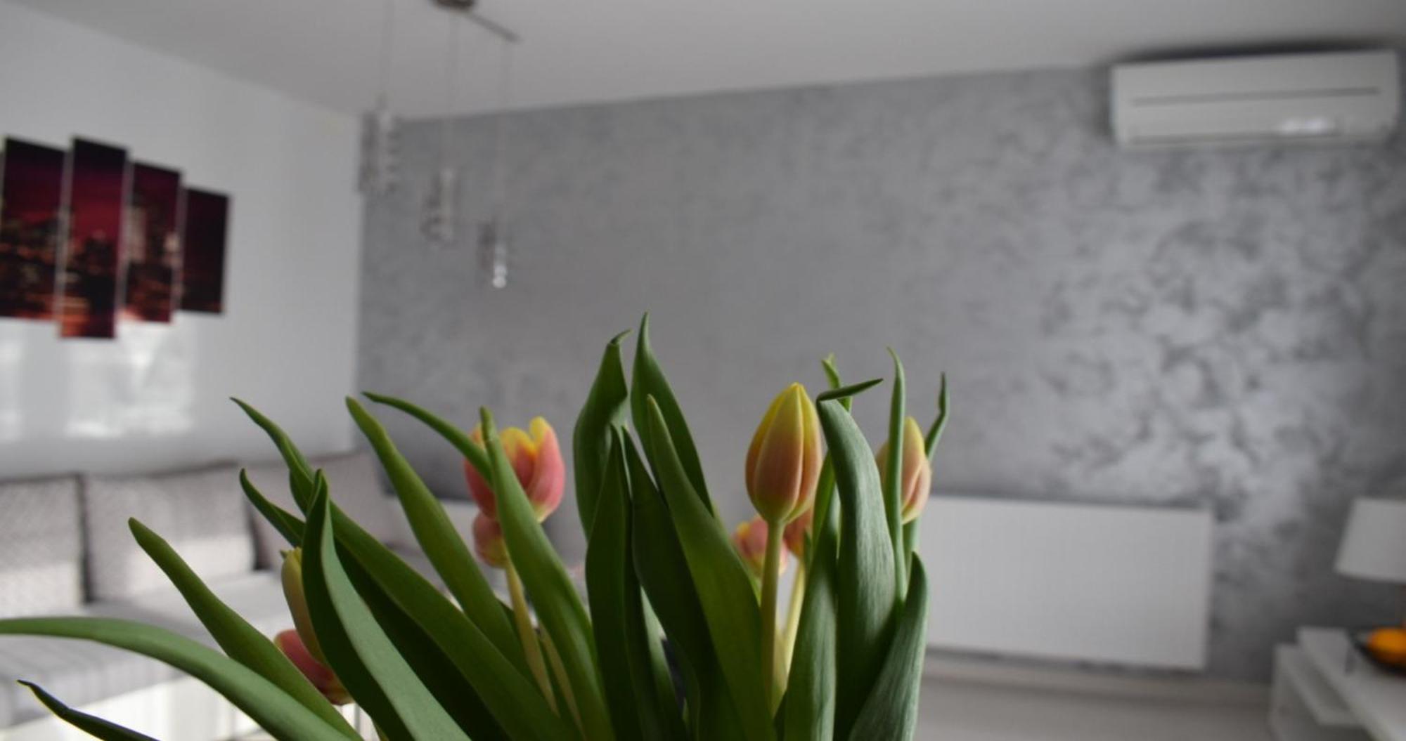 Apartmani Foresta Kras 외부 사진