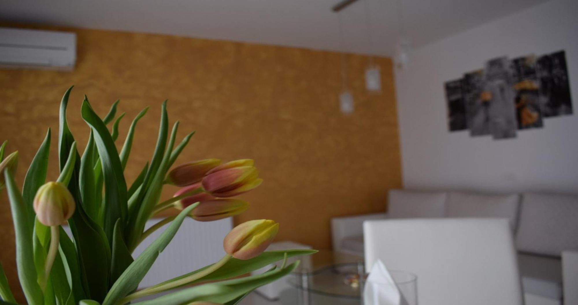 Apartmani Foresta Kras 외부 사진